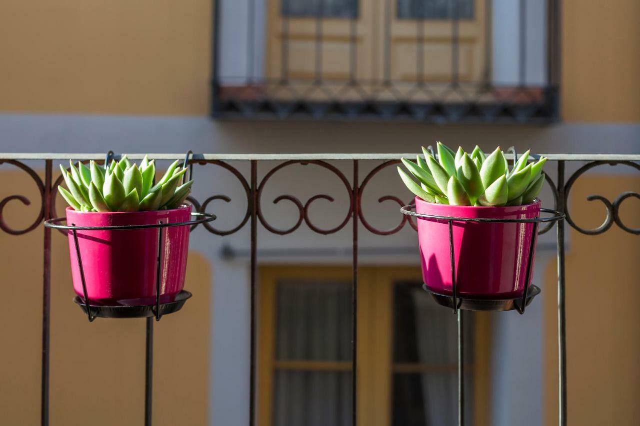 Casa Malvasia Логроньо Экстерьер фото